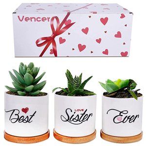 NWT! Best Sister Ever Planter Set